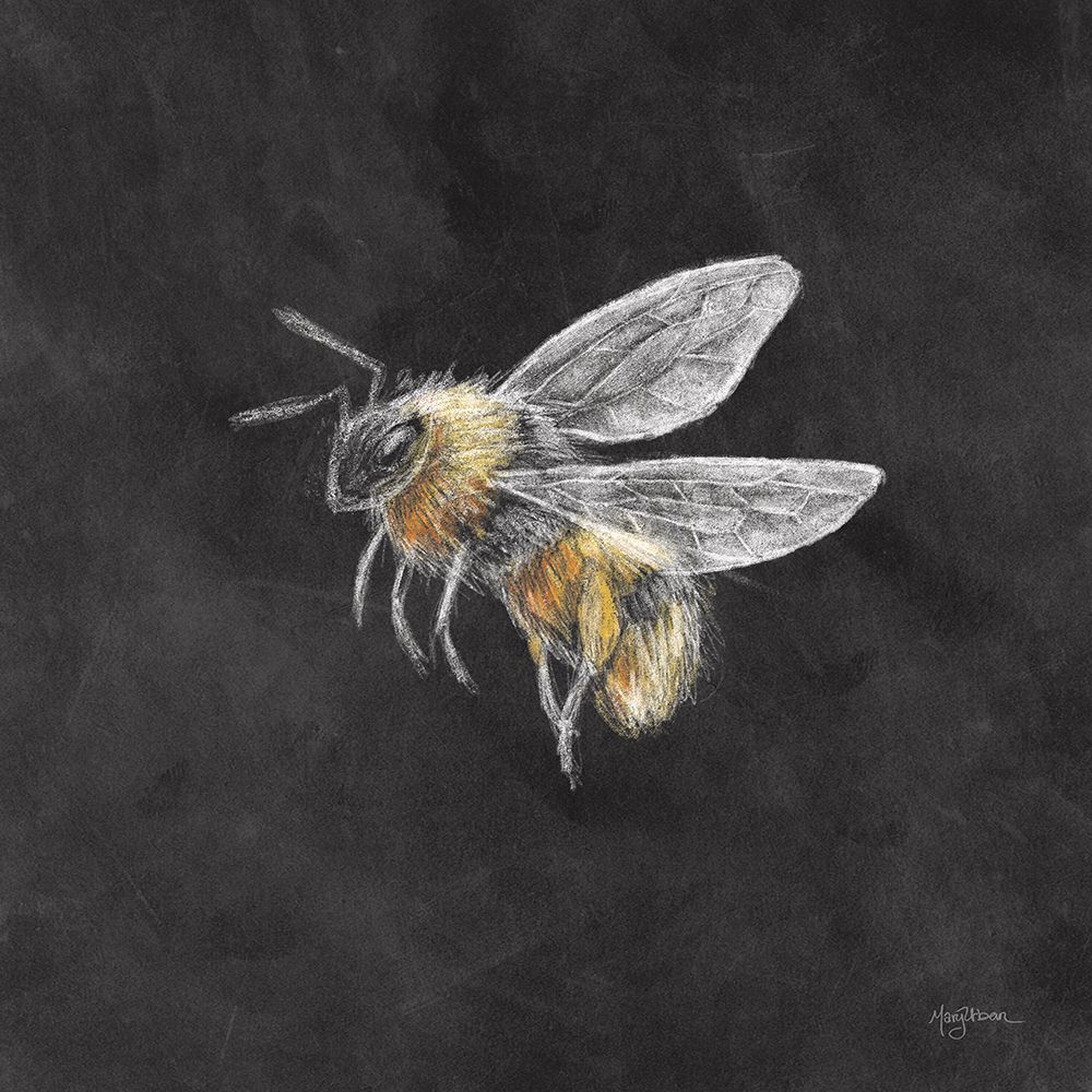 Late Summer Harvest Bee II art print by Mary Urban for $57.95 CAD