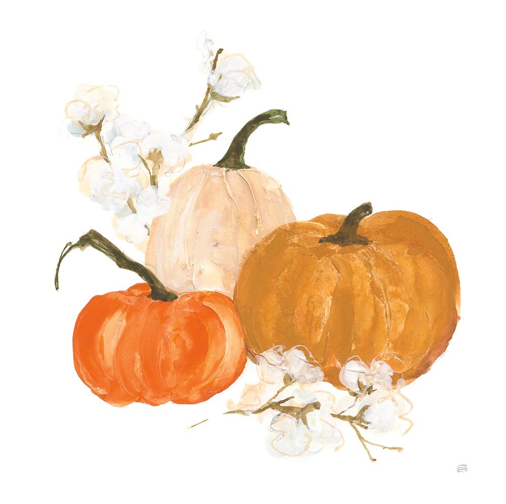 Pumpkins and Cotton II art print by Chris Paschke for $57.95 CAD