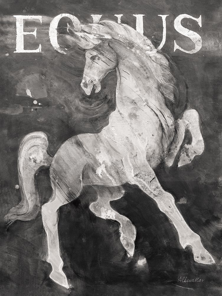 Equus Stallion BW art print by Albena Hristova for $57.95 CAD