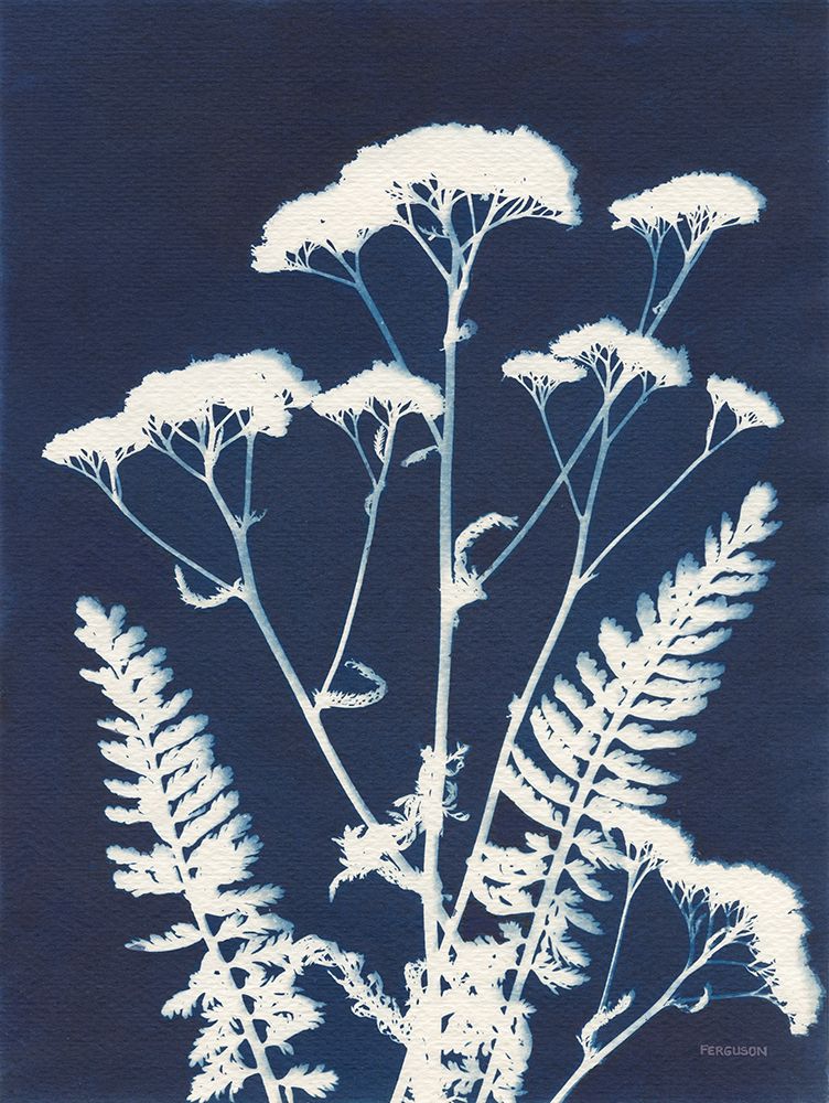 Alpine Flower I art print by Kathy Ferguson for $57.95 CAD