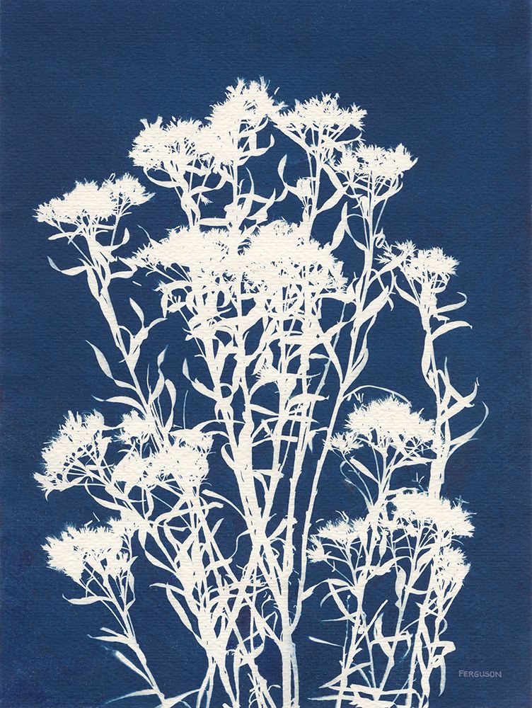Alpine Flower II art print by Kathy Ferguson for $57.95 CAD