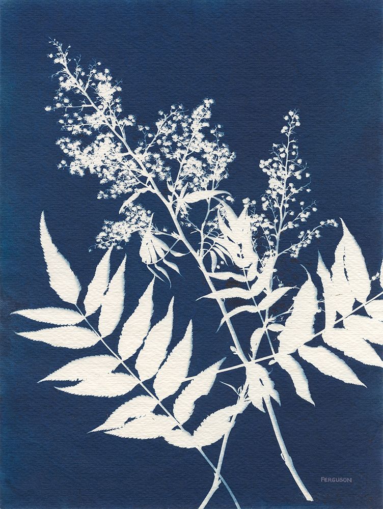 Alpine Flower III art print by Kathy Ferguson for $57.95 CAD