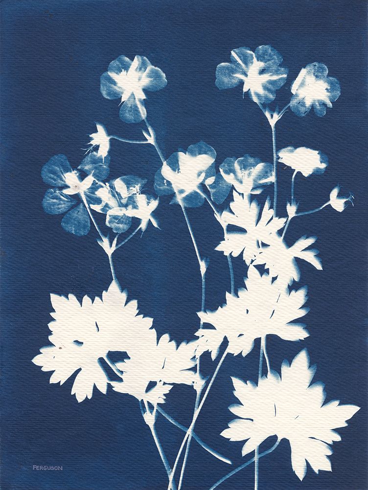 Alpine Flower V art print by Kathy Ferguson for $57.95 CAD