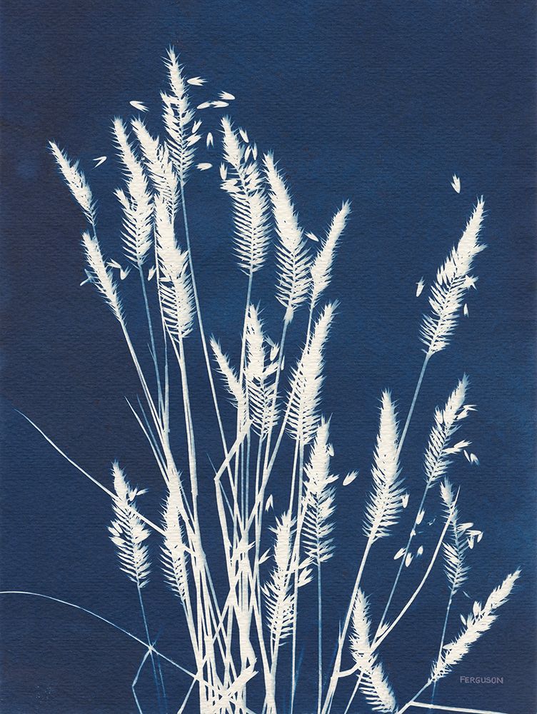 Ornamental Grass III art print by Kathy Ferguson for $57.95 CAD