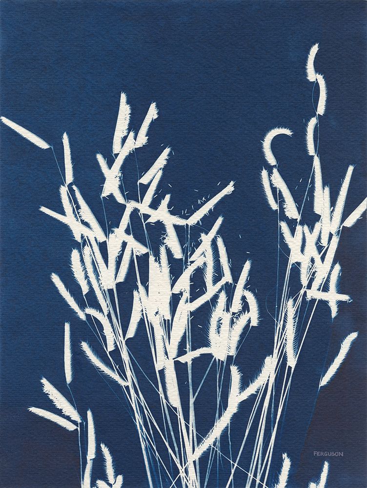 Ornamental Grass IV art print by Kathy Ferguson for $57.95 CAD