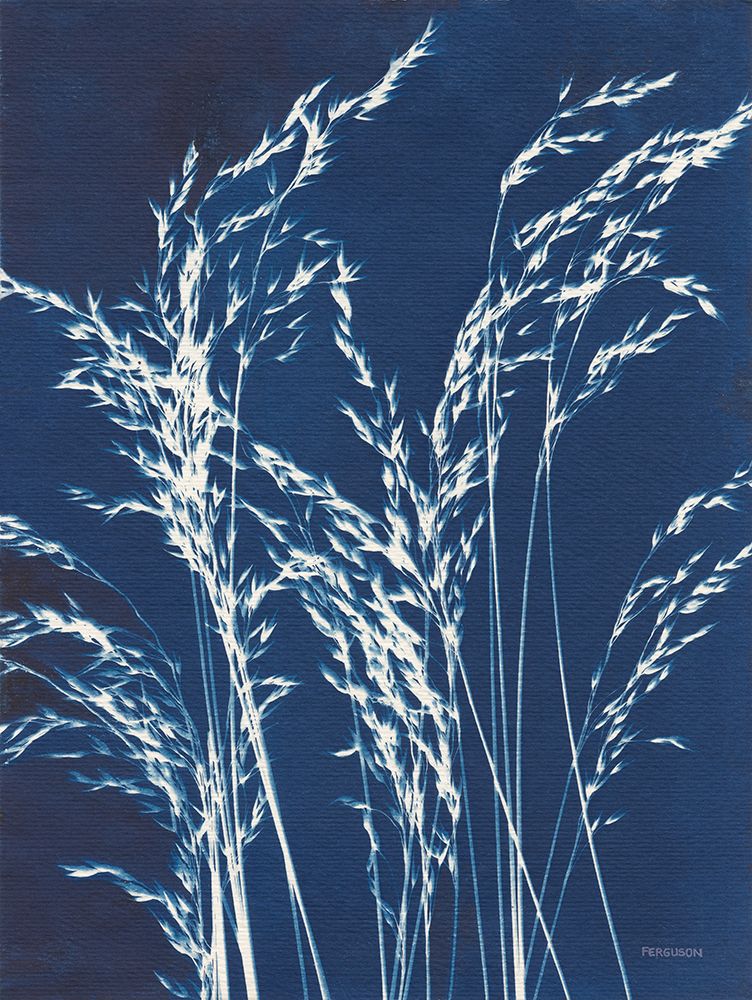 Ornamental Grass V art print by Kathy Ferguson for $57.95 CAD