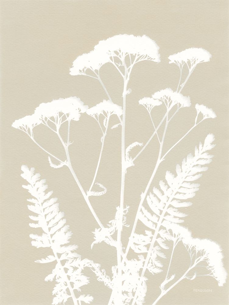 Alpine Flower I Neutral art print by Kathy Ferguson for $57.95 CAD