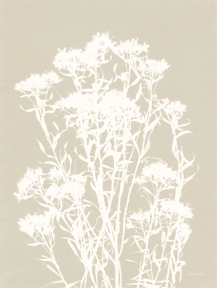 Alpine Flower II Neutral art print by Kathy Ferguson for $57.95 CAD