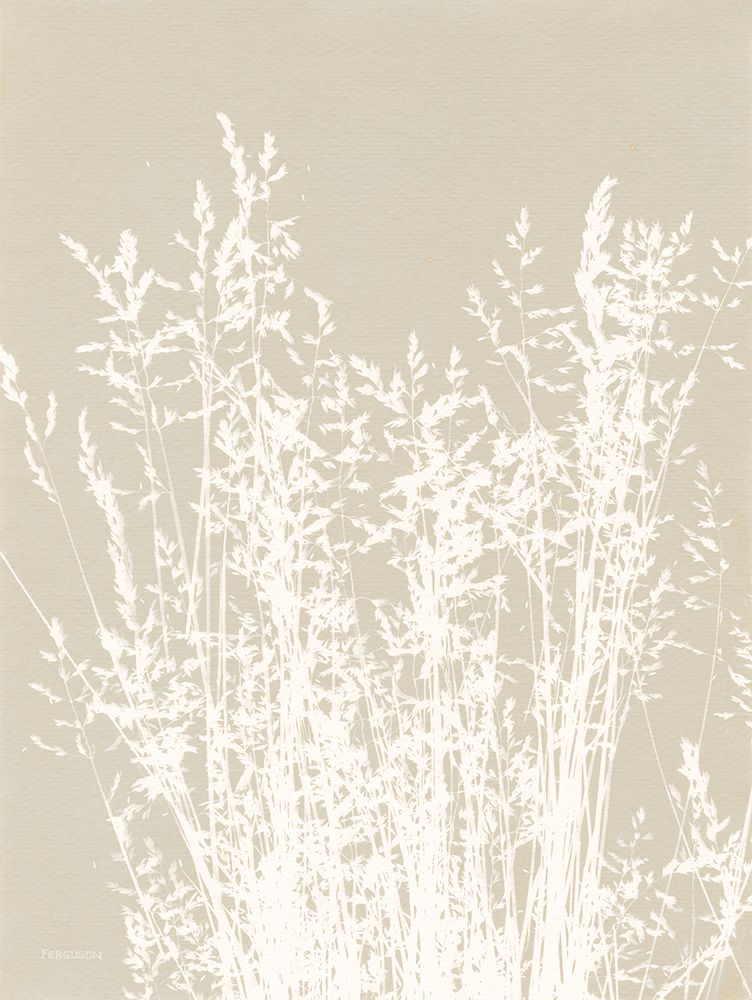 Ornamental Grass I Neutral art print by Kathy Ferguson for $57.95 CAD