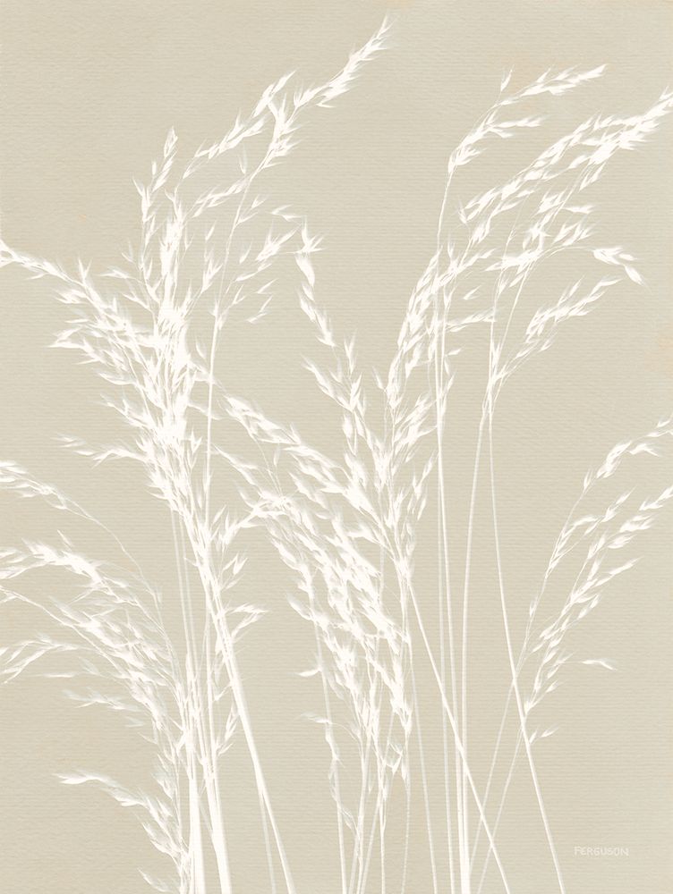Ornamental Grass V Neutral art print by Kathy Ferguson for $57.95 CAD