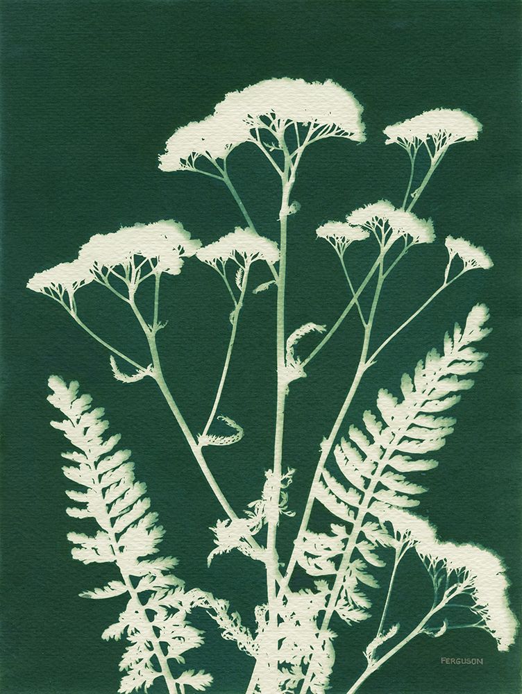 Alpine Flower I Green art print by Kathy Ferguson for $57.95 CAD