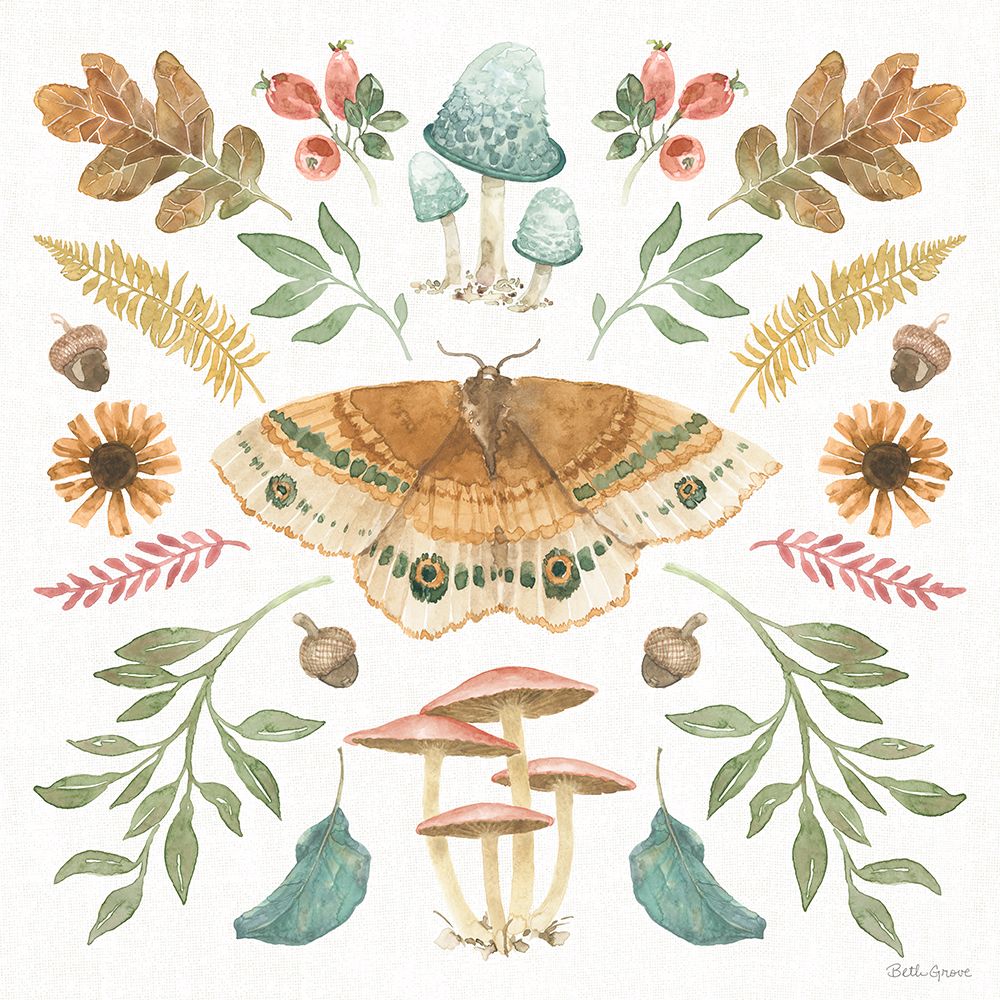 Forest Finds II art print by Beth Grove for $57.95 CAD
