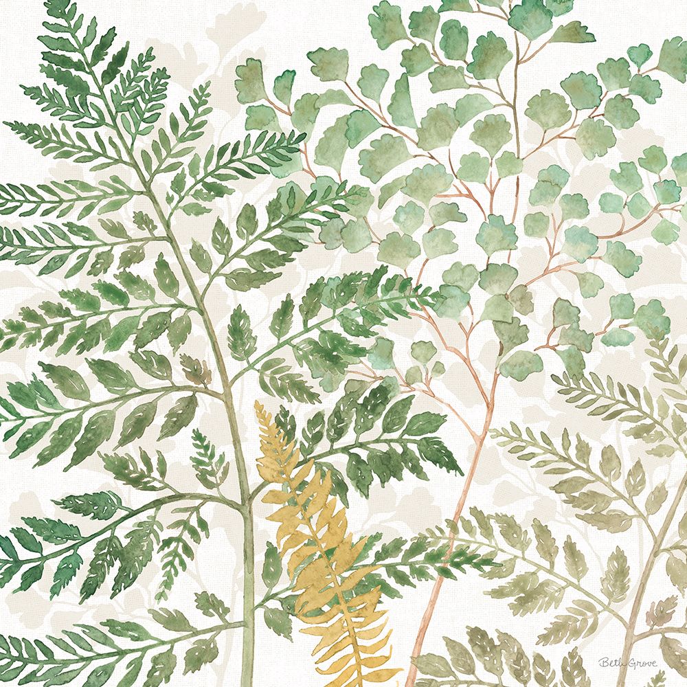 Forest Finds VI art print by Beth Grove for $57.95 CAD