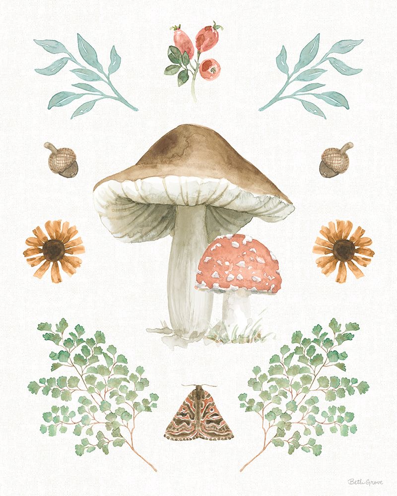 Forest Finds XI art print by Beth Grove for $57.95 CAD