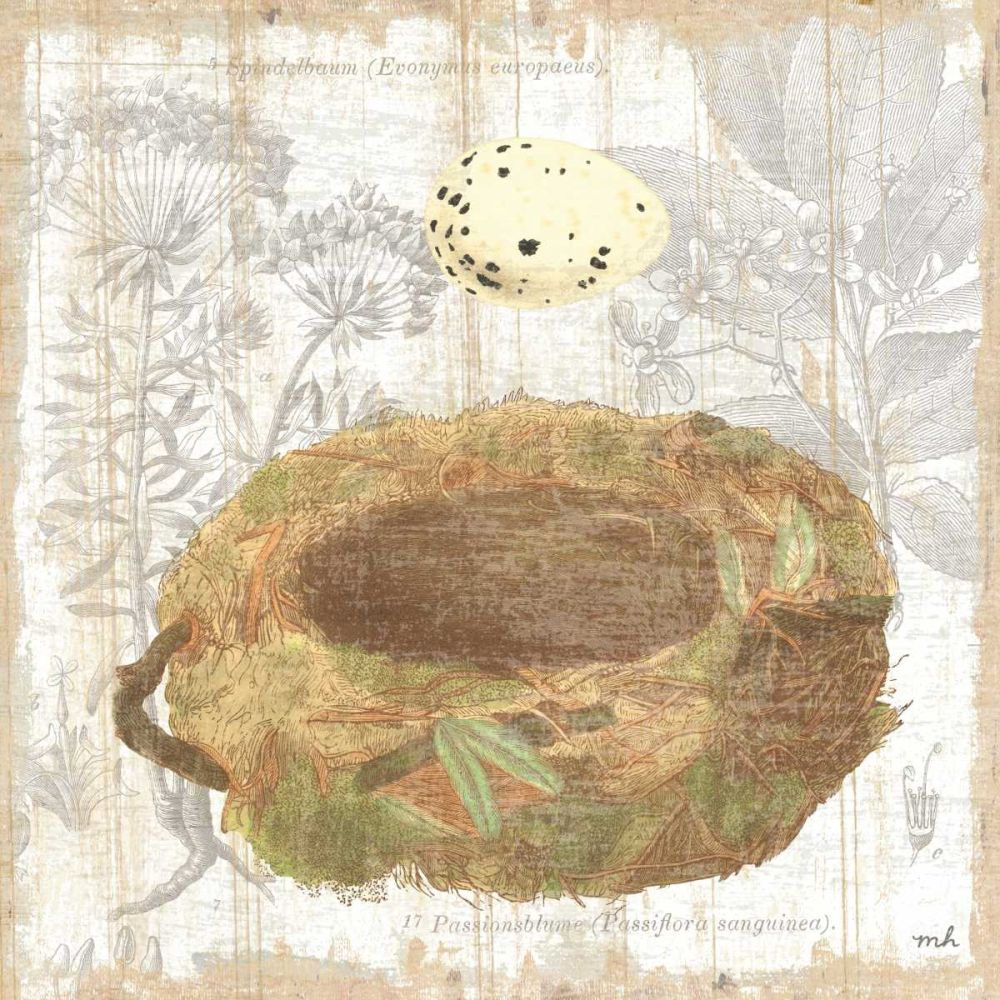 Botanical Nest I art print by Moira Hershey for $57.95 CAD