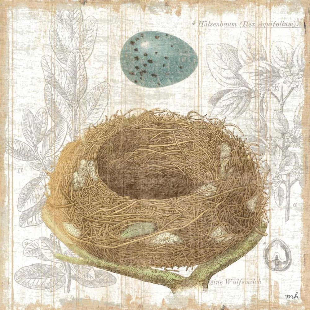 Botanical Nest III art print by Moira Hershey for $57.95 CAD