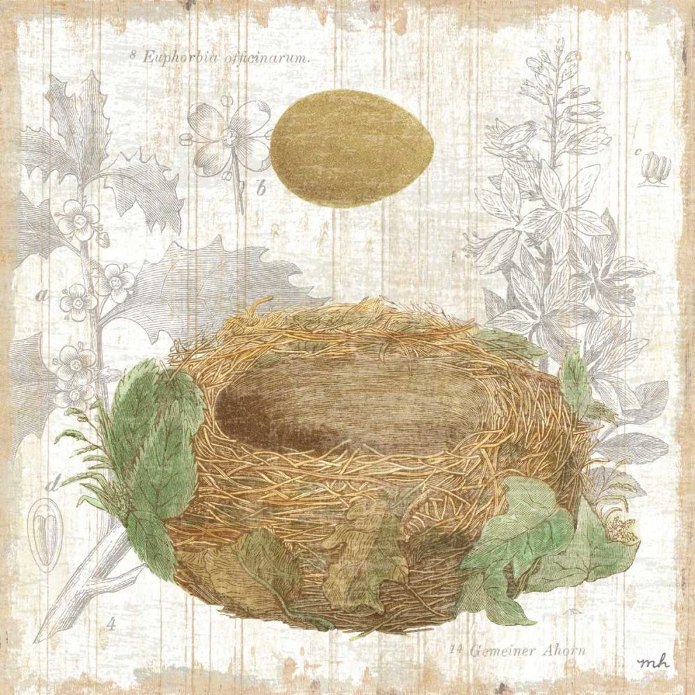Botanical Nest IV art print by Moira Hershey for $57.95 CAD