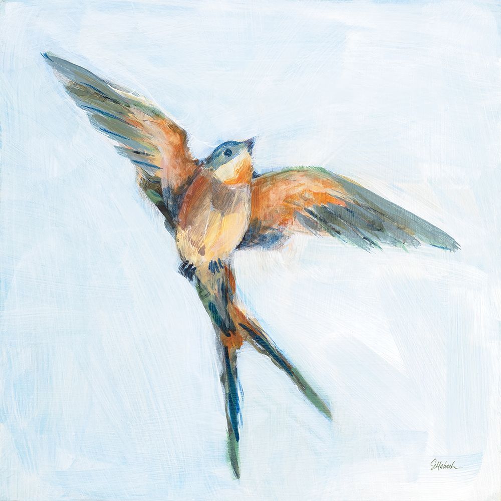 Barn Swallow Flight I art print by Sue Schlabach for $57.95 CAD