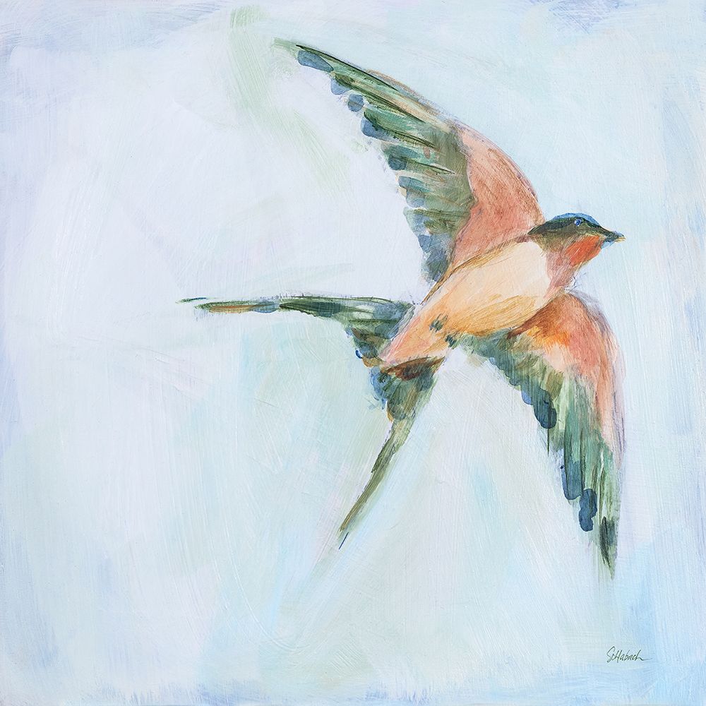 Barn Swallow Flight II art print by Sue Schlabach for $57.95 CAD