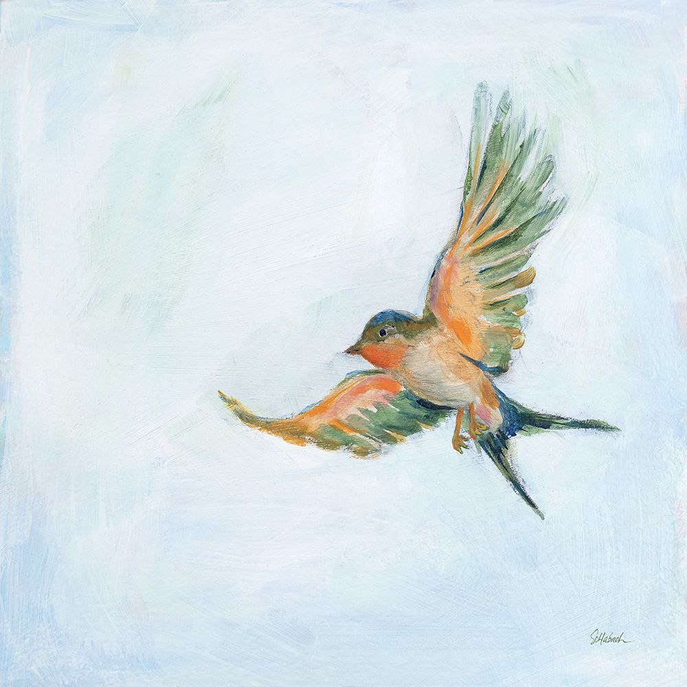Barn Swallow Flight III art print by Sue Schlabach for $57.95 CAD