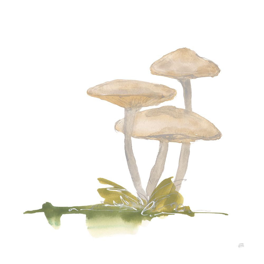 Mellow Mushrooms I art print by Chris Paschke for $57.95 CAD