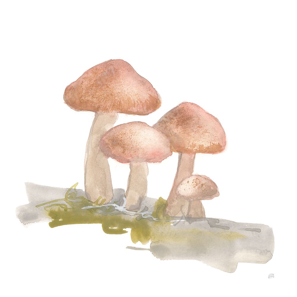 Mellow Mushrooms II art print by Chris Paschke for $57.95 CAD