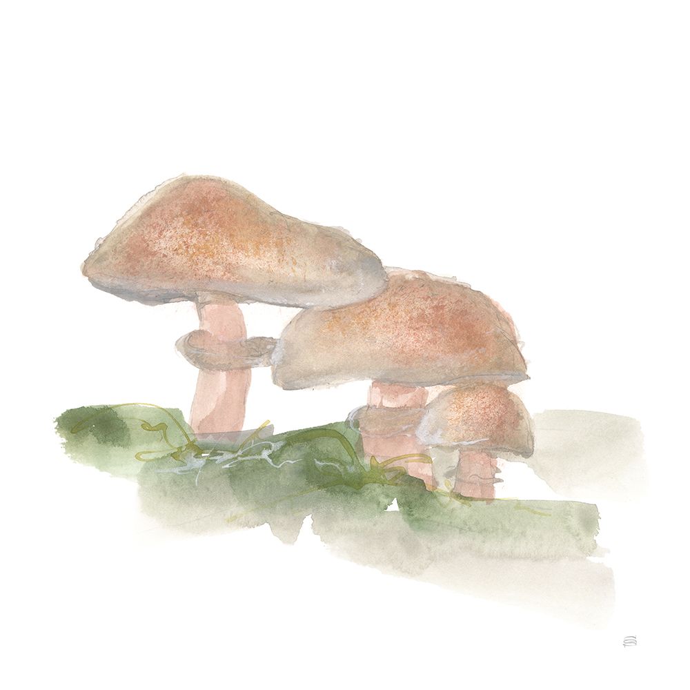 Mellow Mushrooms III art print by Chris Paschke for $57.95 CAD