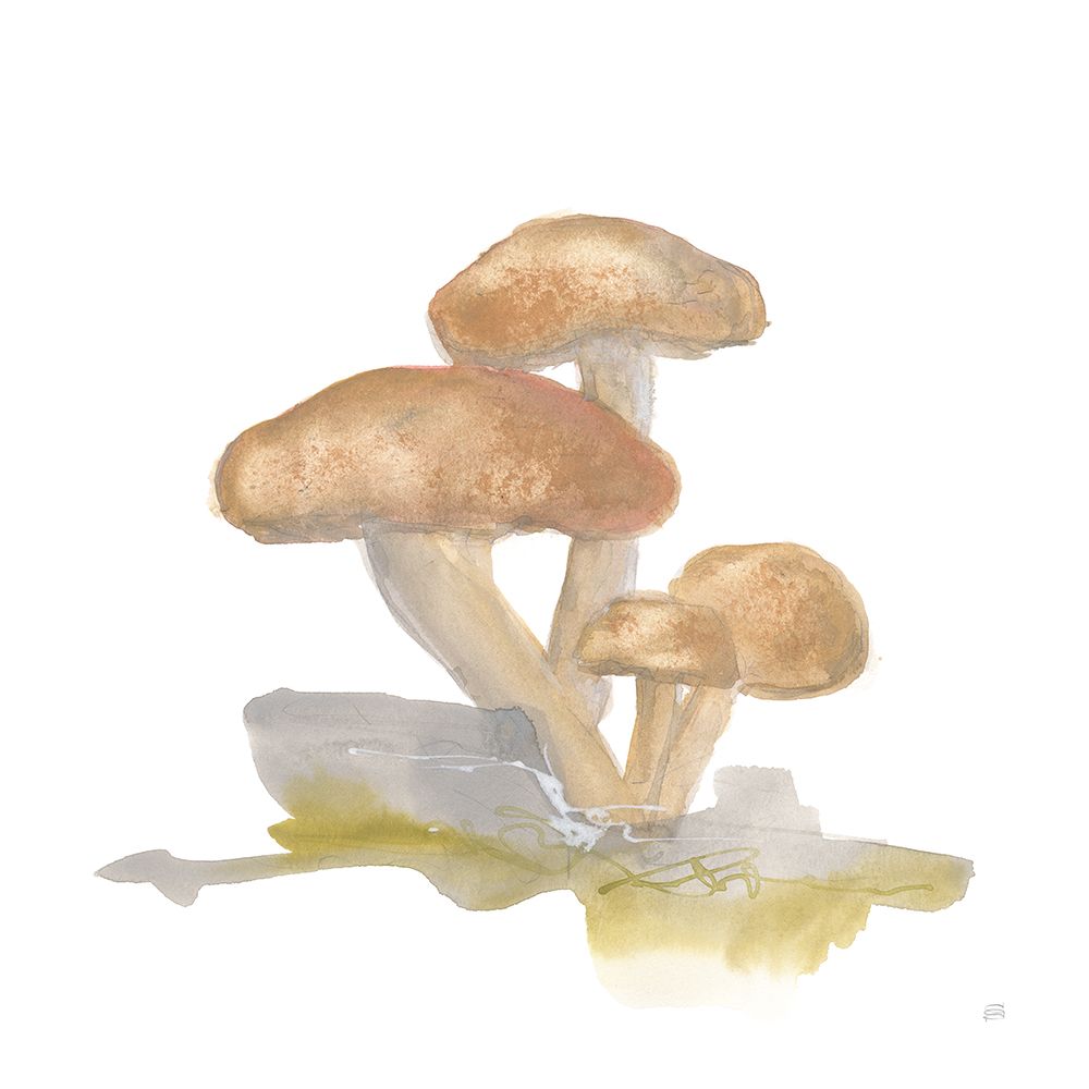 Mellow Mushrooms IV art print by Chris Paschke for $57.95 CAD