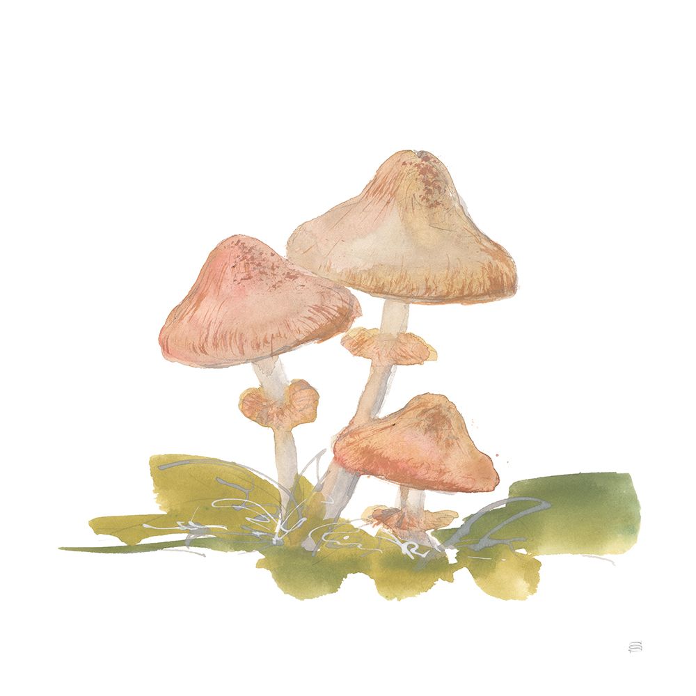 Mellow Mushrooms V art print by Chris Paschke for $57.95 CAD