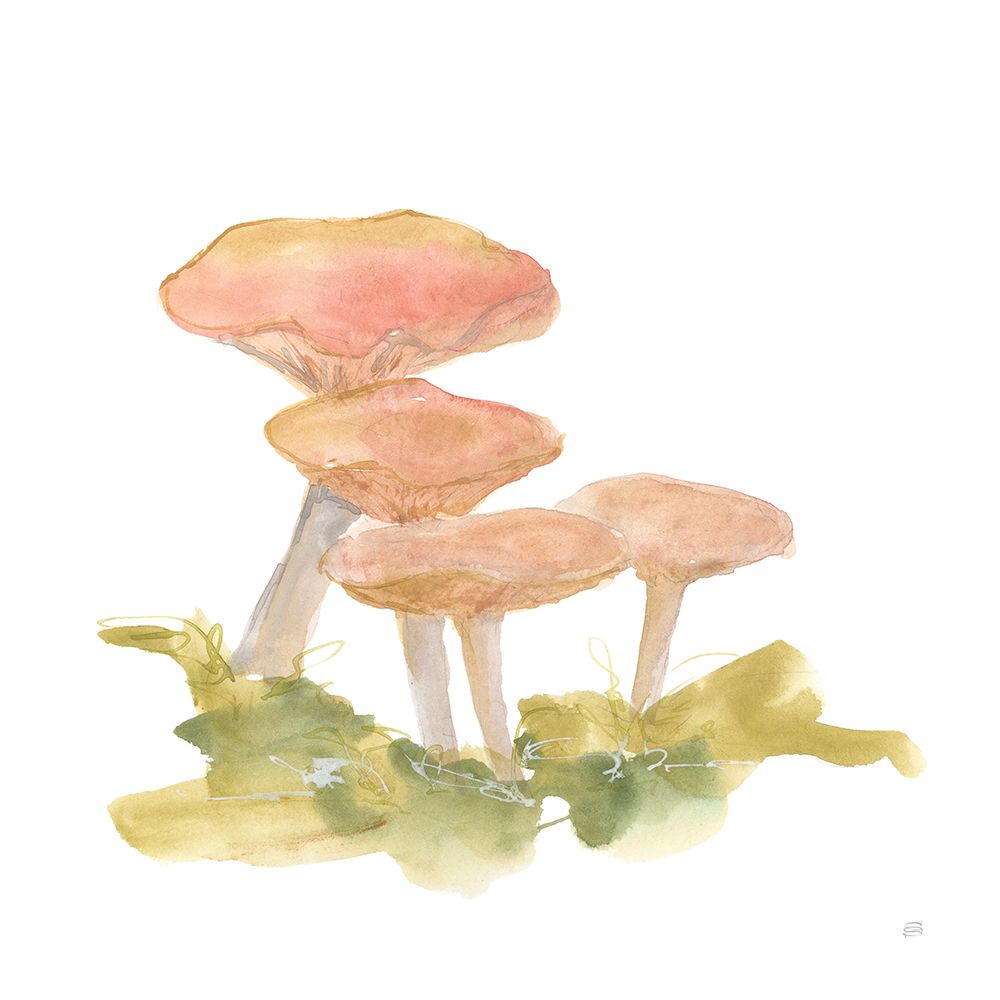 Mellow Mushrooms VI art print by Chris Paschke for $57.95 CAD