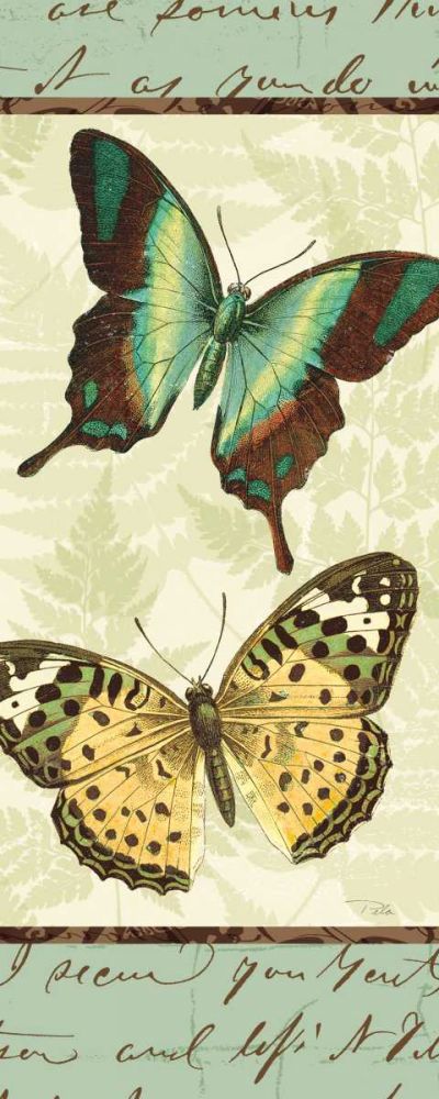 Butterfly Patchwork I art print by Pela Studio for $57.95 CAD