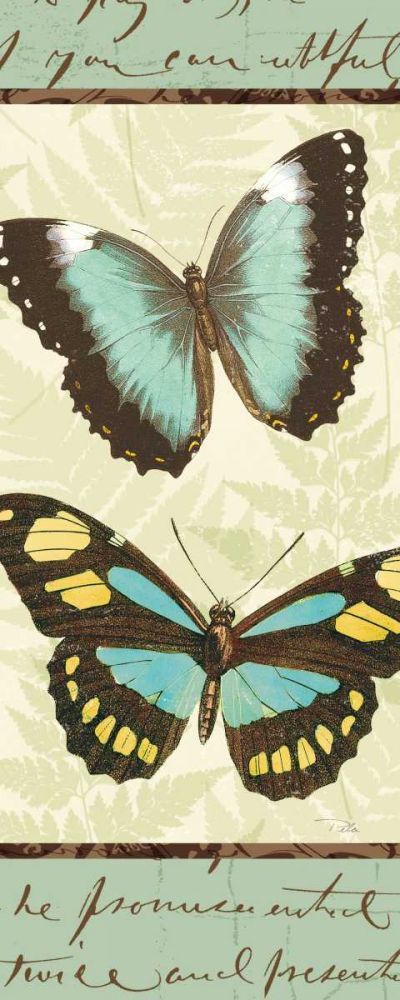 Butterfly Patchwork II art print by Pela Studio for $57.95 CAD