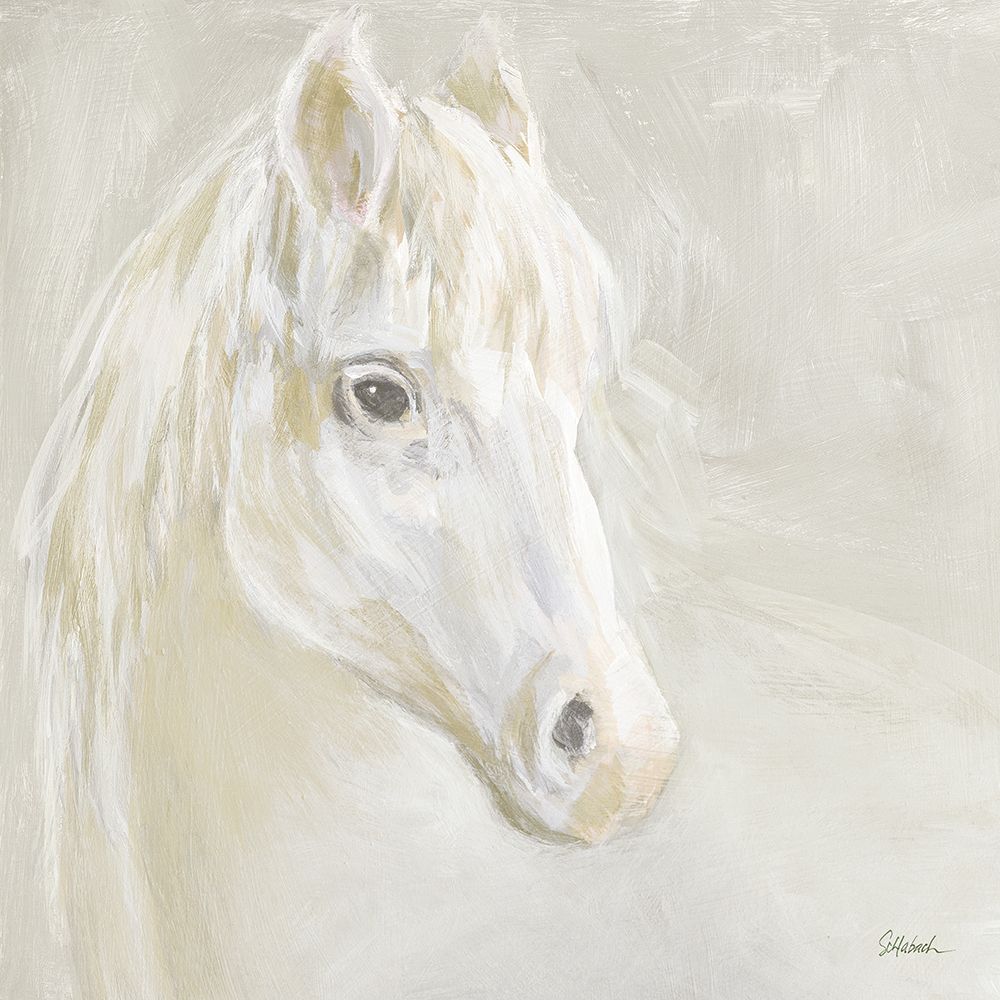 Gentle White Horse art print by Sue Schlabach for $57.95 CAD