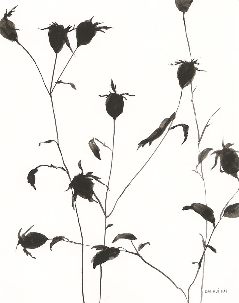 Botanical Shadows II art print by Danhui Nai for $57.95 CAD
