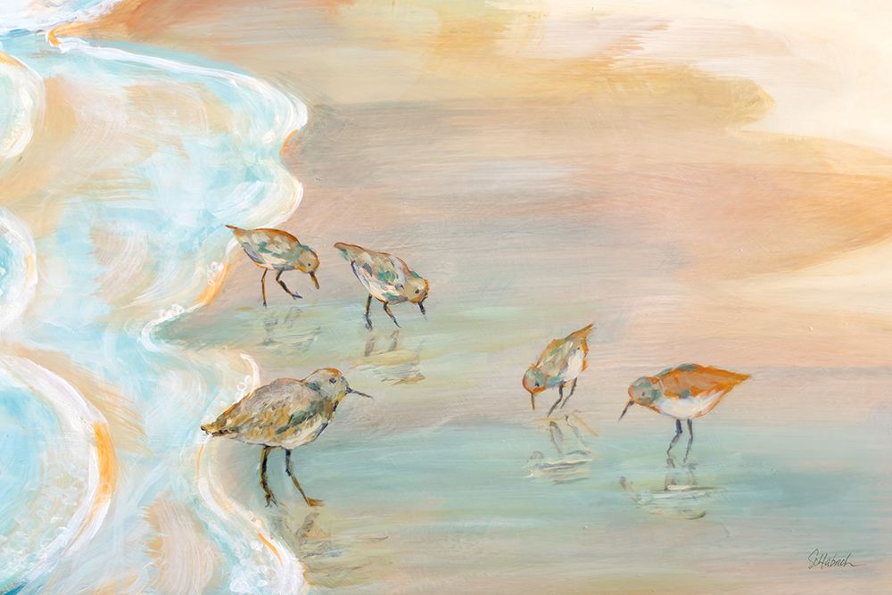 Back Bay Sandpipers art print by Sue Schlabach for $57.95 CAD