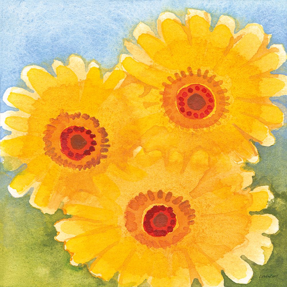Daisy Day I art print by Kathrine Lovell for $57.95 CAD