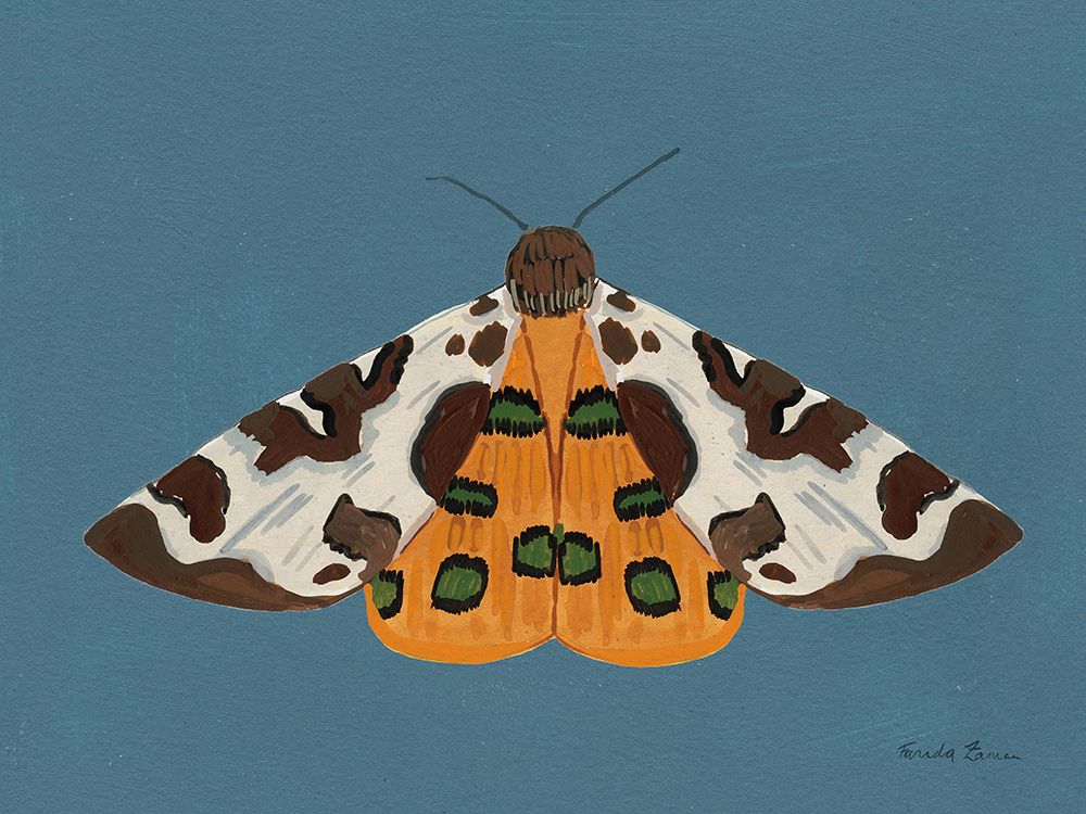 Moth II art print by Farida Zaman for $57.95 CAD
