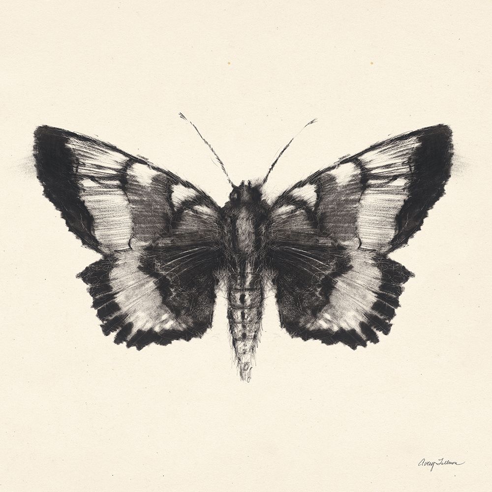Moth V Sq art print by Avery Tillmon for $57.95 CAD