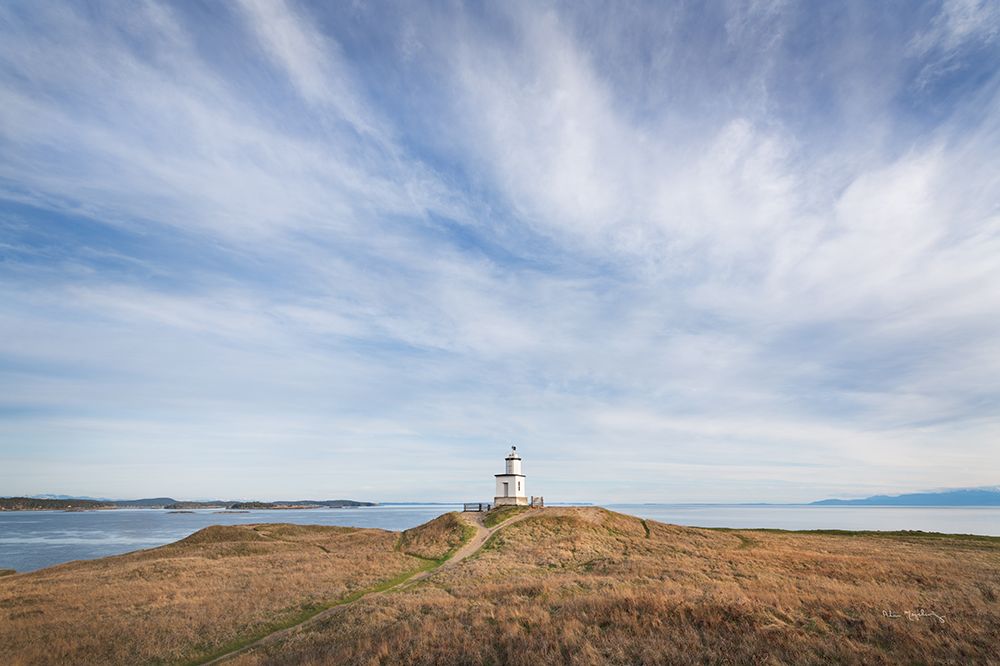 Cattle Point Lighthouse art print by Alan Majchrowicz for $57.95 CAD