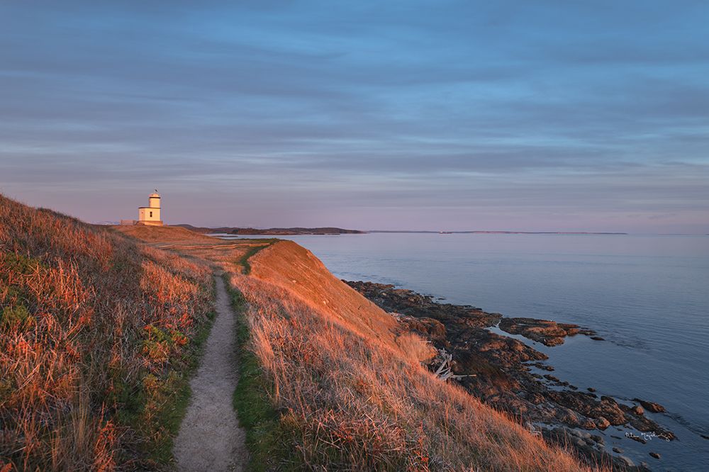 Evening Light Over Cattle Point art print by Alan Majchrowicz for $57.95 CAD