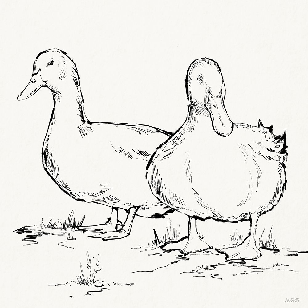 Duck Delight I art print by Anne Tavoletti for $57.95 CAD
