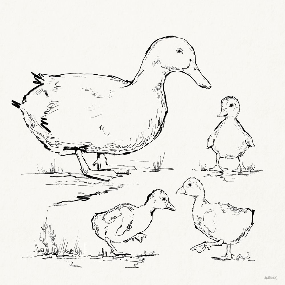 Duck Delight II art print by Anne Tavoletti for $57.95 CAD