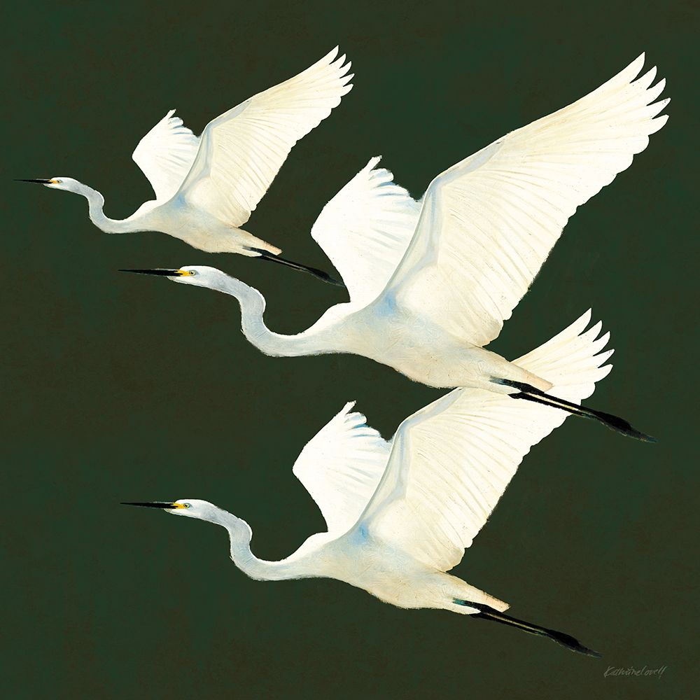 Egrets Alighting II on Green art print by Kathrine Lovell for $57.95 CAD