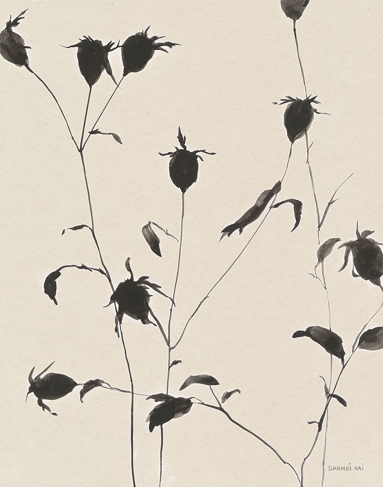 Botanical Shadows II Beige art print by Danhui Nai for $57.95 CAD