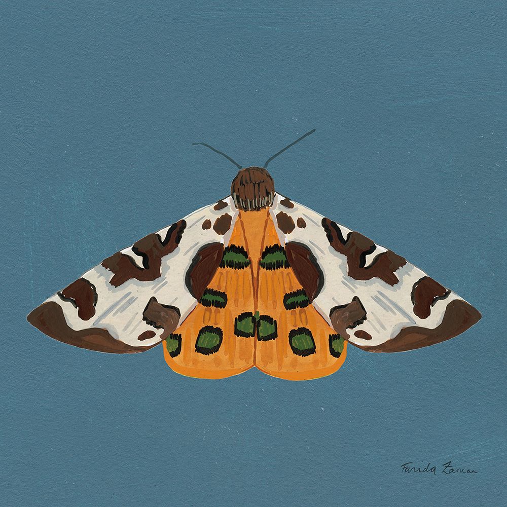 Moth II Sq art print by Farida Zaman for $57.95 CAD