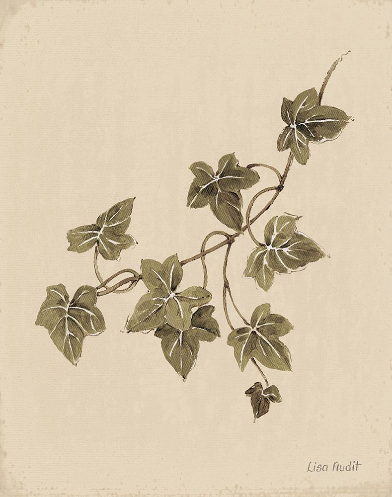 Ivy Leaves art print by Lisa Audit for $57.95 CAD
