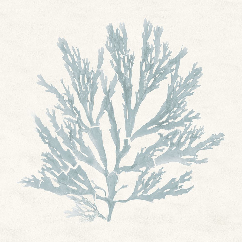 Pacific Sea Mosses I Blue art print by Wild Apple Portfolio for $57.95 CAD