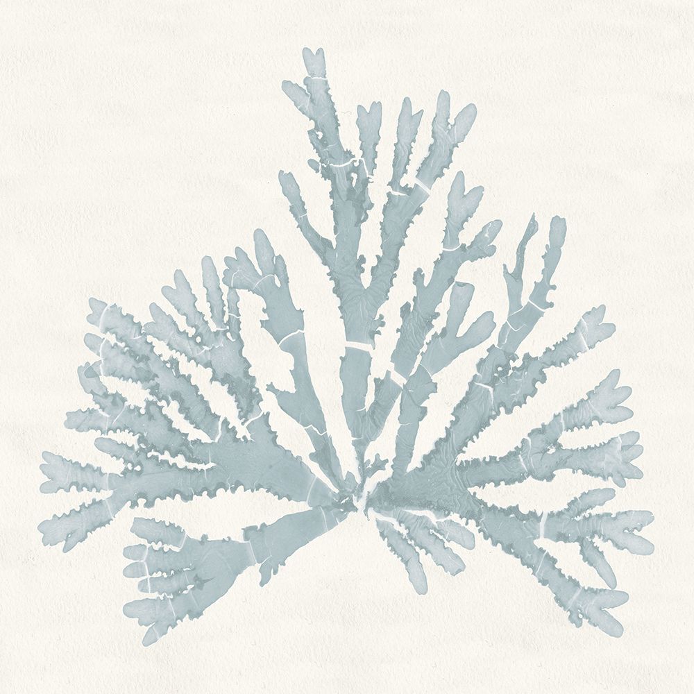 Pacific Sea Mosses IV Blue art print by Wild Apple Portfolio for $57.95 CAD