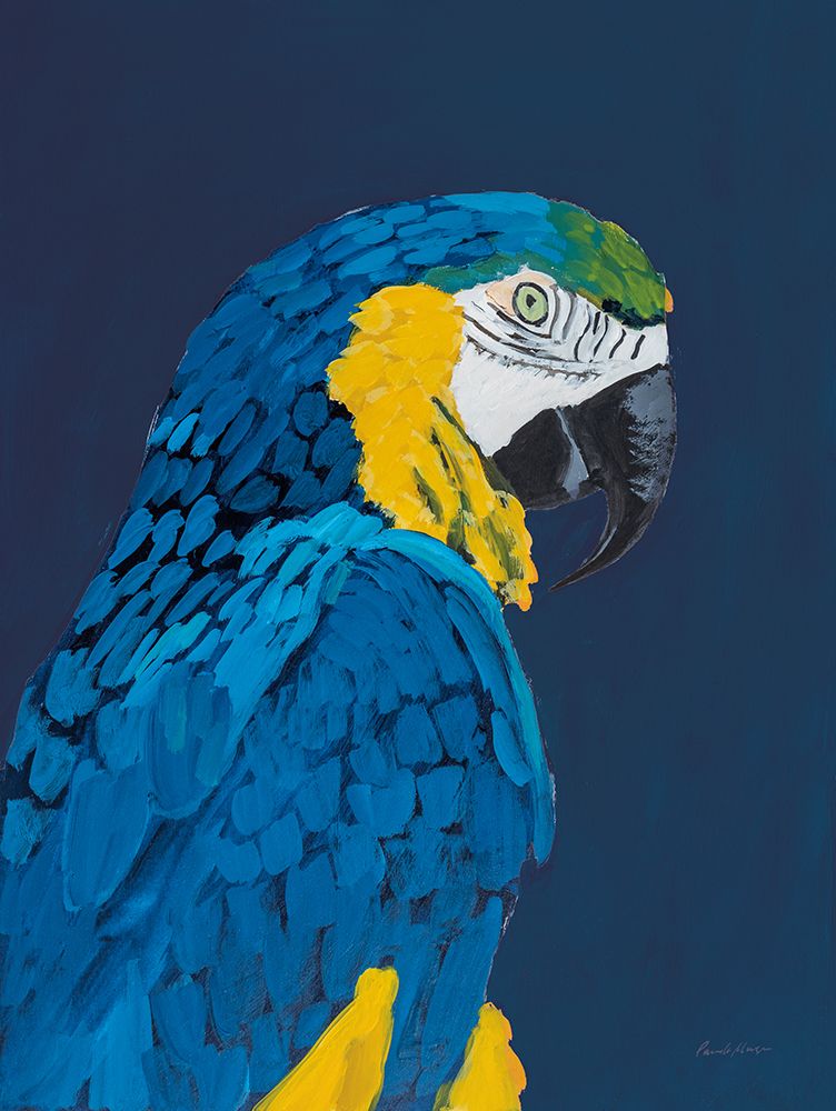 Blue and Gold Macaw Navy art print by Pamela Munger for $57.95 CAD