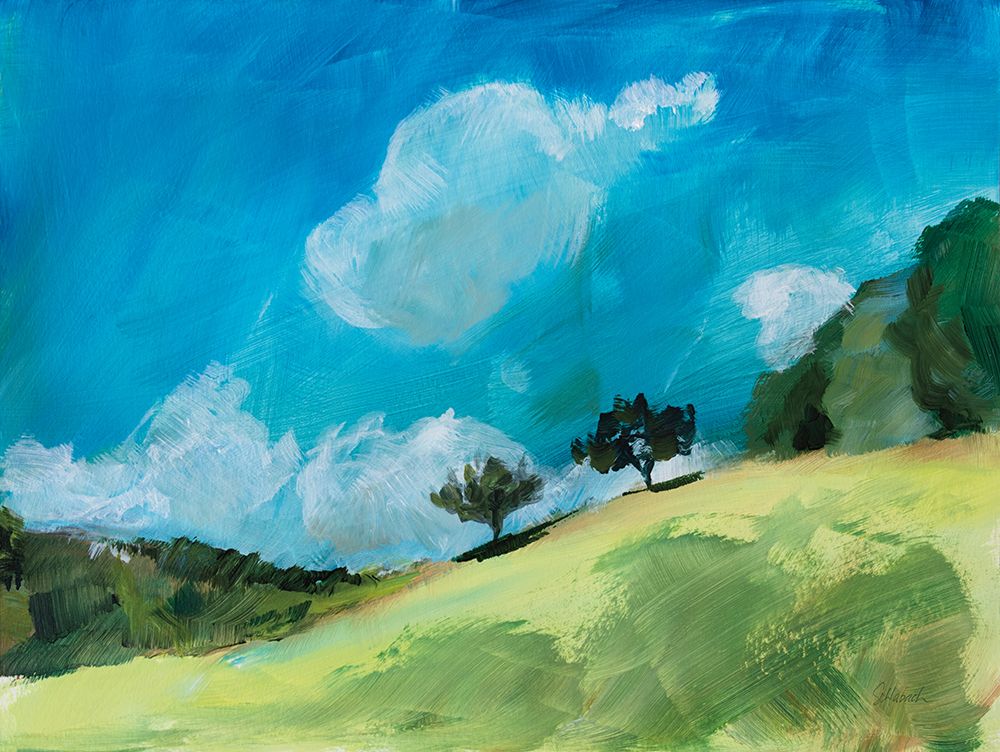 August Clouds Study art print by Sue Schlabach for $57.95 CAD